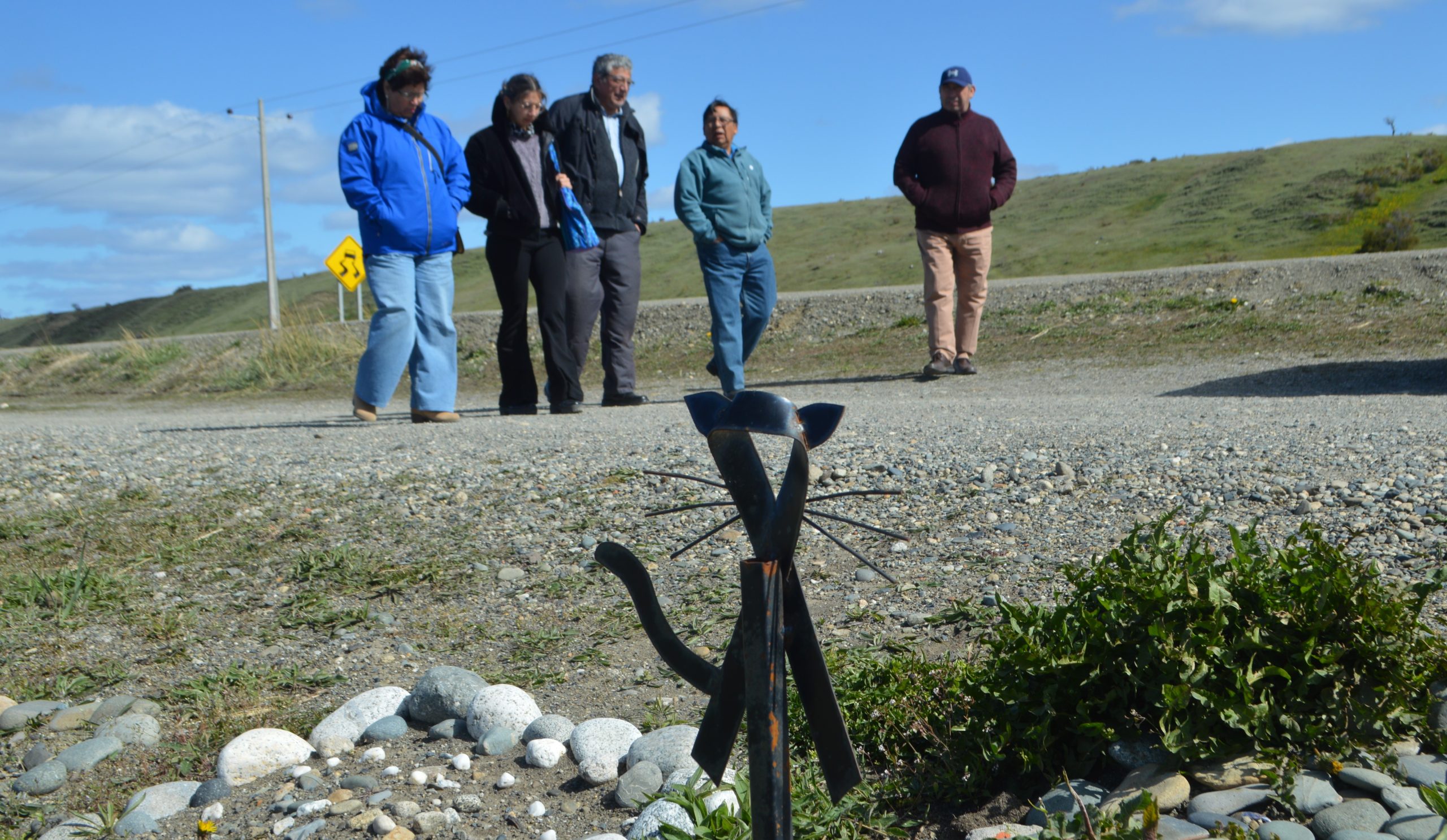 Vecinos de Agua Fresca al sur de Punta Arenas, solicitan a Bienes Nacionales instalar un cementerio de mascotas