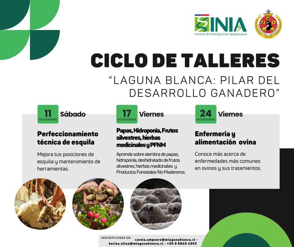 Municipalidad de Laguna Blanca e INIA Kampenaike desarrollan ciclo de Talleres para impulsar desarrollo ganadero en Magallanes