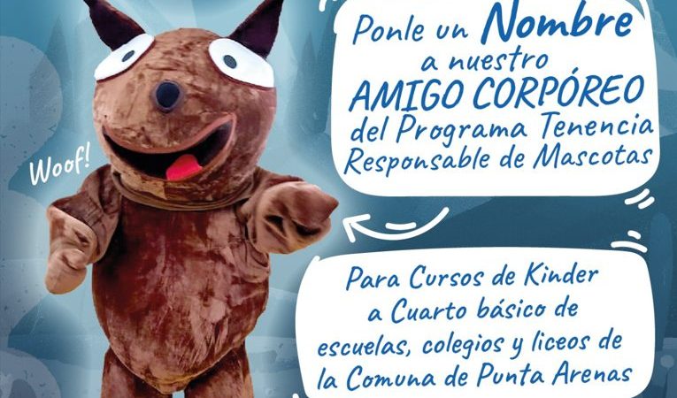 SEREMI de Salud Magallanes invita a estudiantes de enseñanza Básica de Punta Arenas a concurso creativo sobre corpóreo