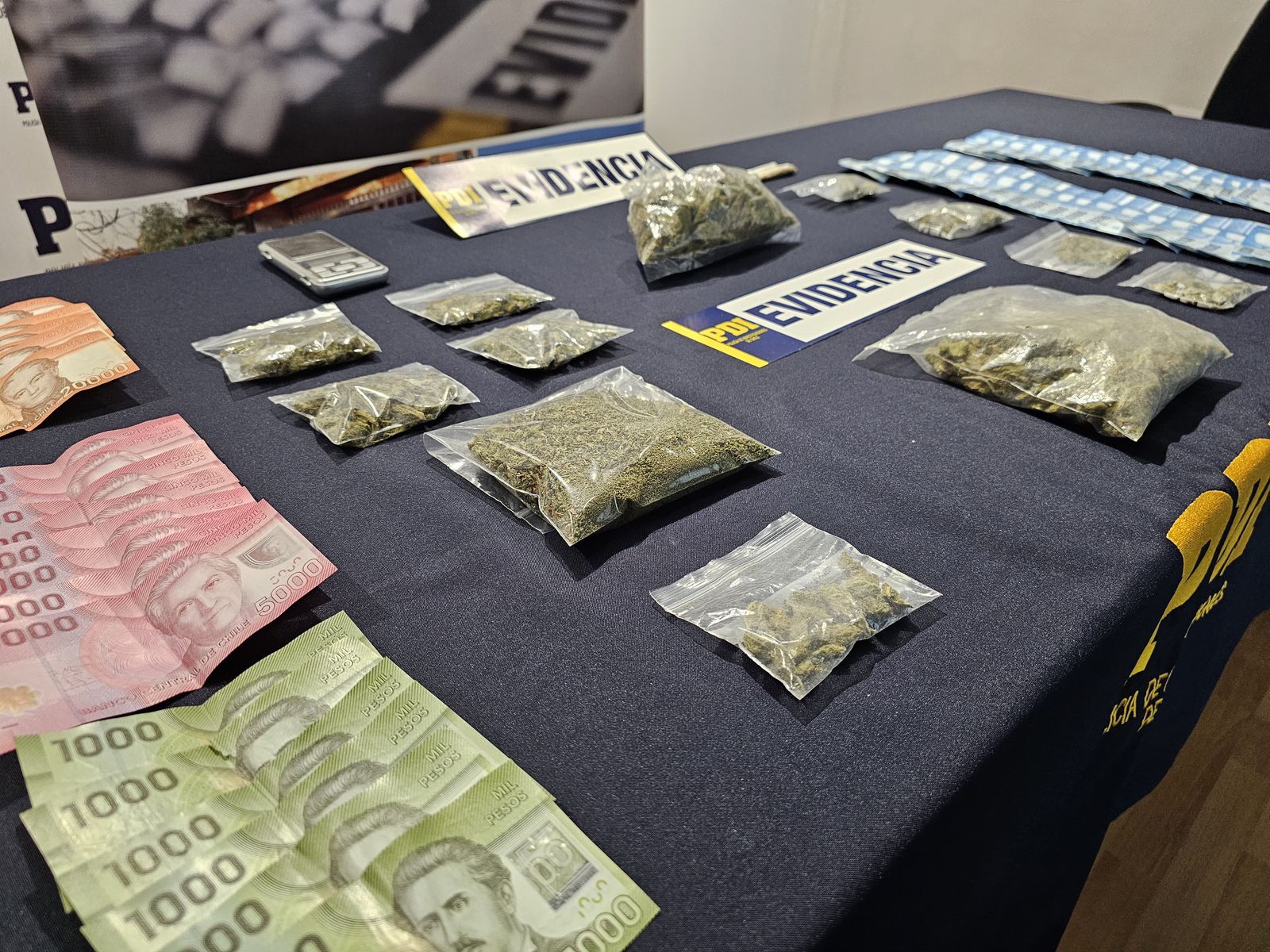 PDI Puerto Natales desarticula un punto de microtráfico de drogas e incauta seis millones de pesos en cannabis sativa