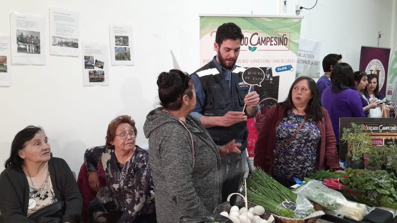 Día Mundial de la Alimentación 2023 conmemoró la SEREMI de Salud con Feria Educativa en Punta Arenas