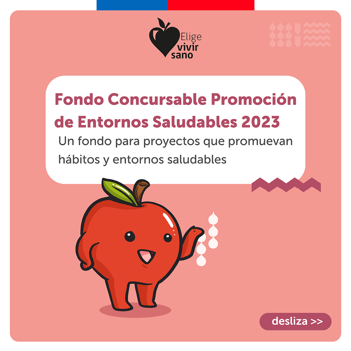 Hasta este jueves 19 de octubre se reciben las postulaciones al Fondo Concursable de Elige Vivir Sano