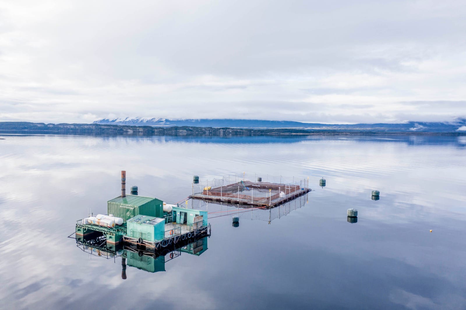 Informe de SERNAPESCA: 40 % de concesiones salmoneras tienen causal de caducidad y podrían ser retiradas por la Subsecretaría de FF.AA.