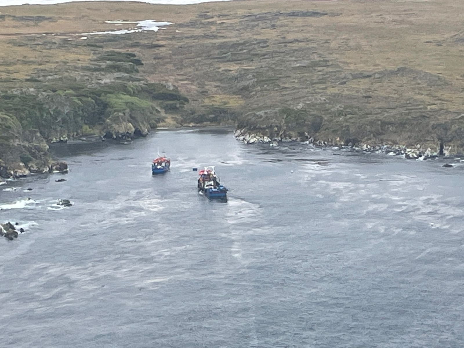 Capitanía de Puerto de Puerto Williams activó operativo ante hundimiento de lancha en sector de Bahía Arquistade, Islas Wollaston