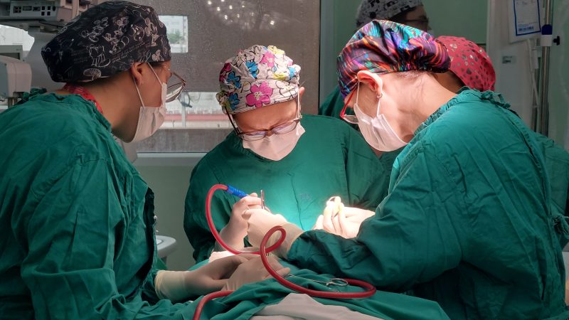 Ronda plástica Magallanes entregó resolución quirúrgica a 8 menores en lista de espera