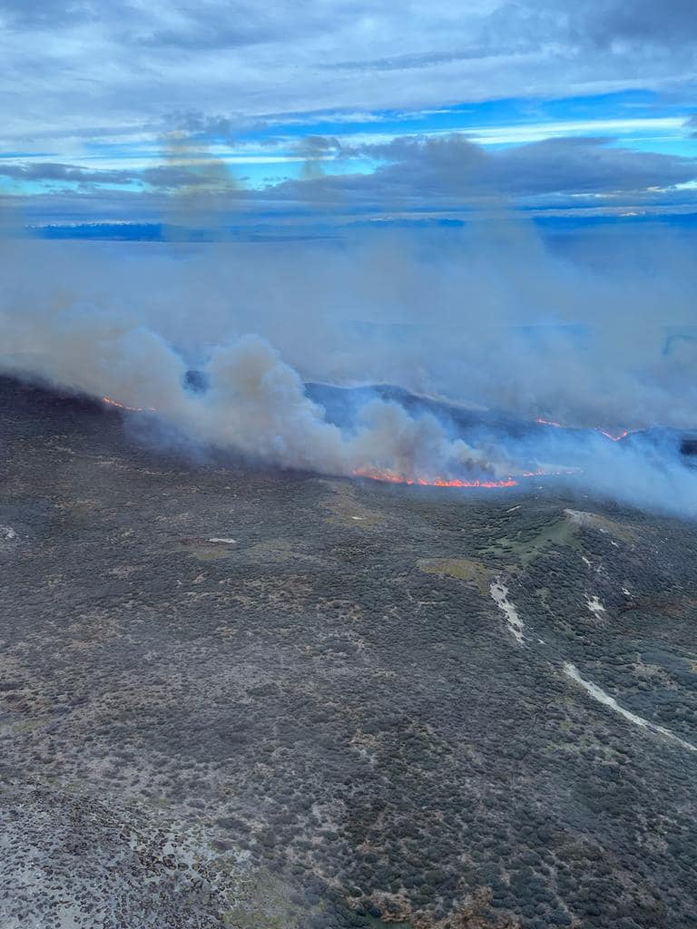 Incendio forestal en Tierra del Fuego abarca 1.000 hectáreas