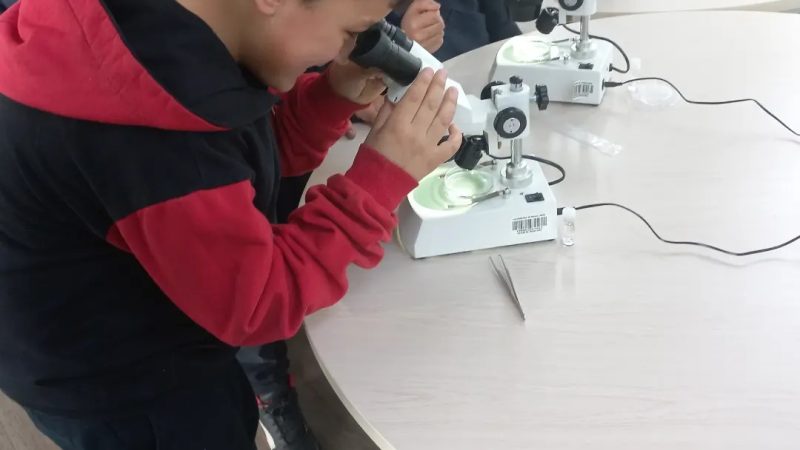 Visita pedagógica realizan alumnos del Liceo Donald McIntyre al Centro Subantártico Cabo de Hornos de Puerto Williams