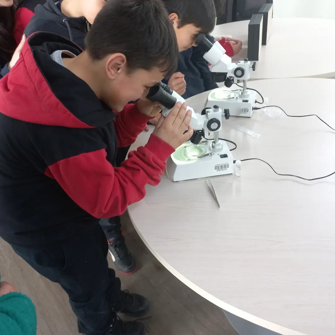 Visita pedagógica realizan alumnos del Liceo Donald McIntyre al Centro Subantártico Cabo de Hornos de Puerto Williams