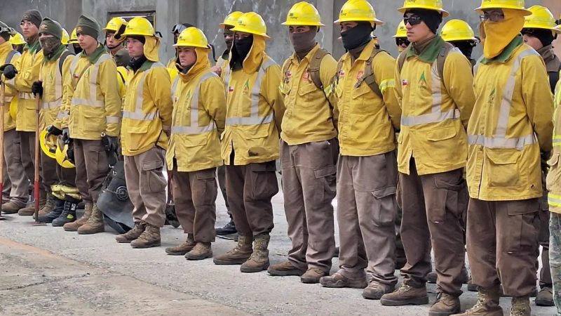 Autoridades regionales agradecen gestión de servicios de emergencia en incendio de Tierra del Fuego