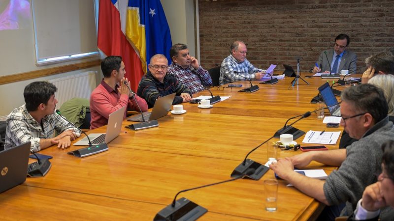 Barrio Sur de Punta Arenas contará con moderno Parque Deportivo tras aprobación del proyecto en el Consejo Regional