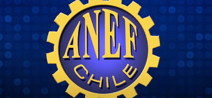 ANEF anuncia apoyo a distintos gremios del sector público en paro ante demandas incumplidas