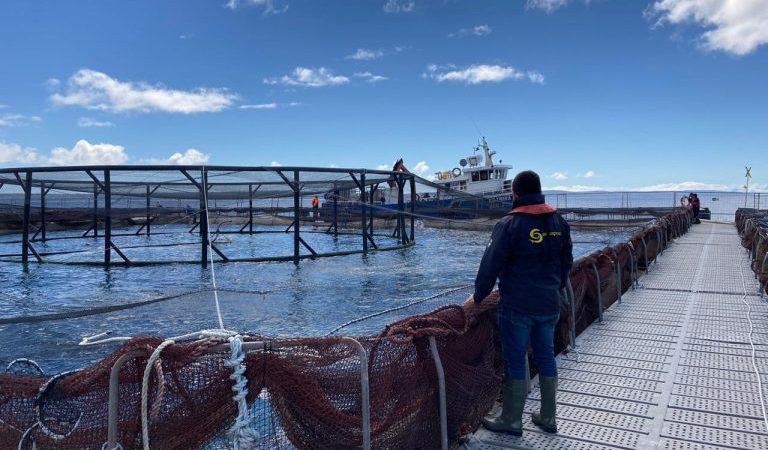Declaran prealerta acuícola por fenómeno de El Niño en las costas de las regiones del Biobío a Magallanes