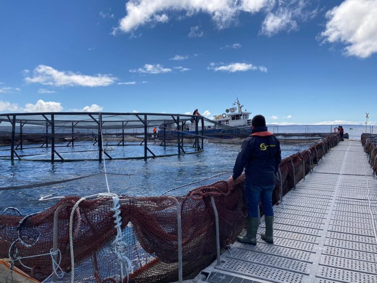 Declaran prealerta acuícola por fenómeno de El Niño en las costas de las regiones del Biobío a Magallanes