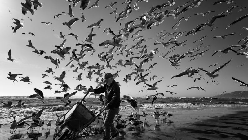 Concurso fotográfico Ojo de Pez ya tiene a 83 ganadores en todo el país