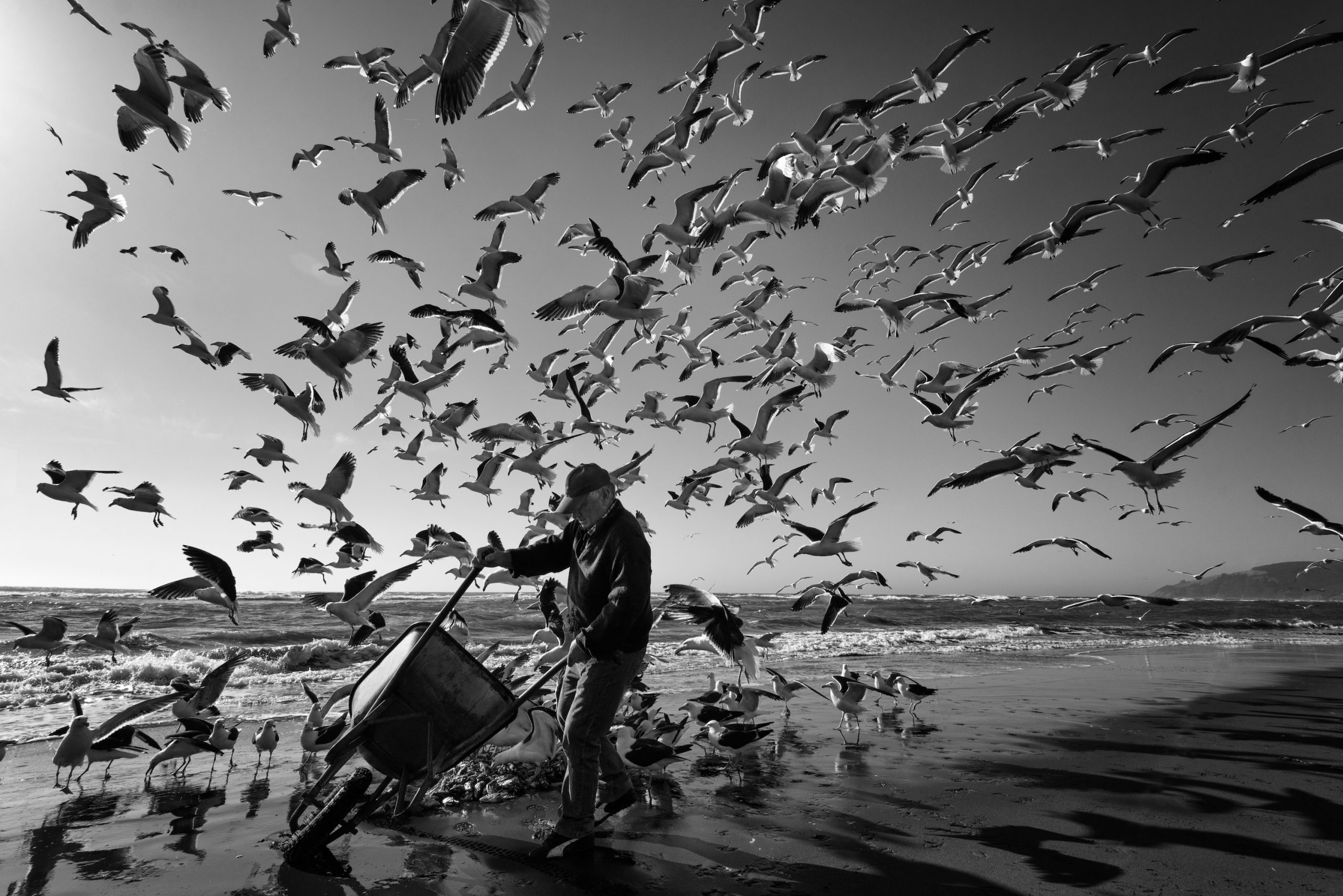 Concurso fotográfico Ojo de Pez ya tiene a 83 ganadores en todo el país