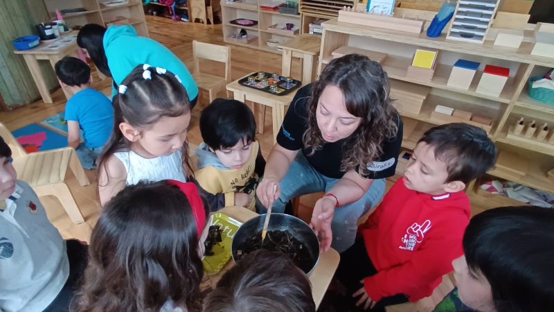 Sembrar semillas y conocer el compost: Pequeños jardineros de Conectarte aprendieron el ‘paso a paso’ del nacimiento de una planta