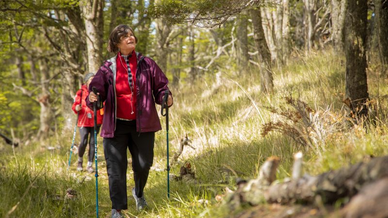 Descubriendo el paraíso natural | Parque del Estrecho de Magallanes inaugura nuevo sendero “Bosque de los Carpinteros” al sur de Punta Arenas