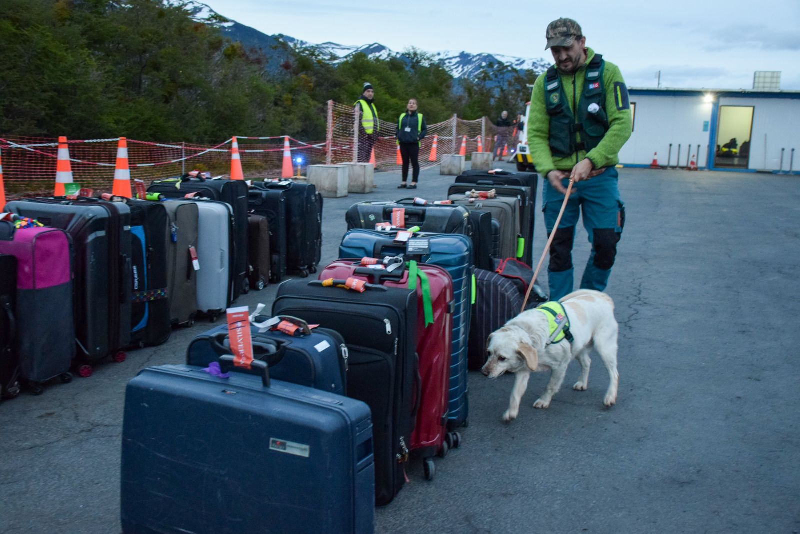 Llegó Lu a Puerto Williams | Can detectora del SAG para el control fronterizo en la ciudad más austral de Chile