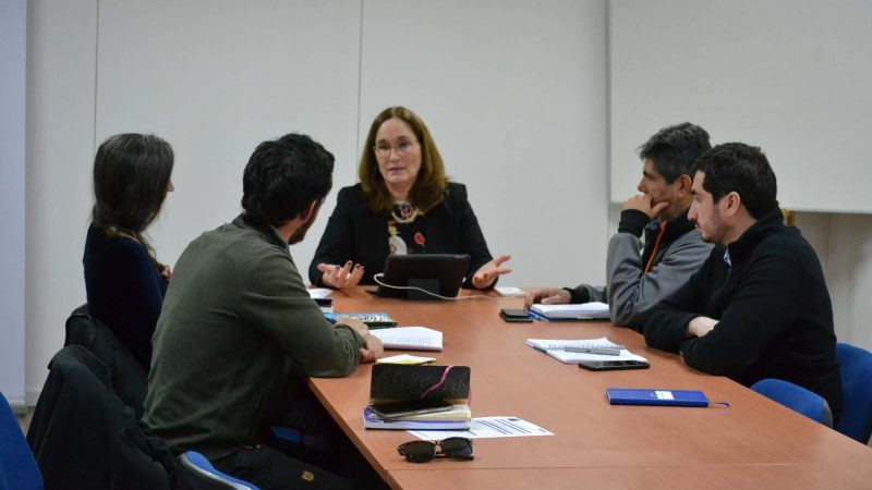 Panel Ciudadano H2 Magallanes manifestó preocupación a Directora Nacional del SEA por capacidades y recursos disponibles para evaluaciones