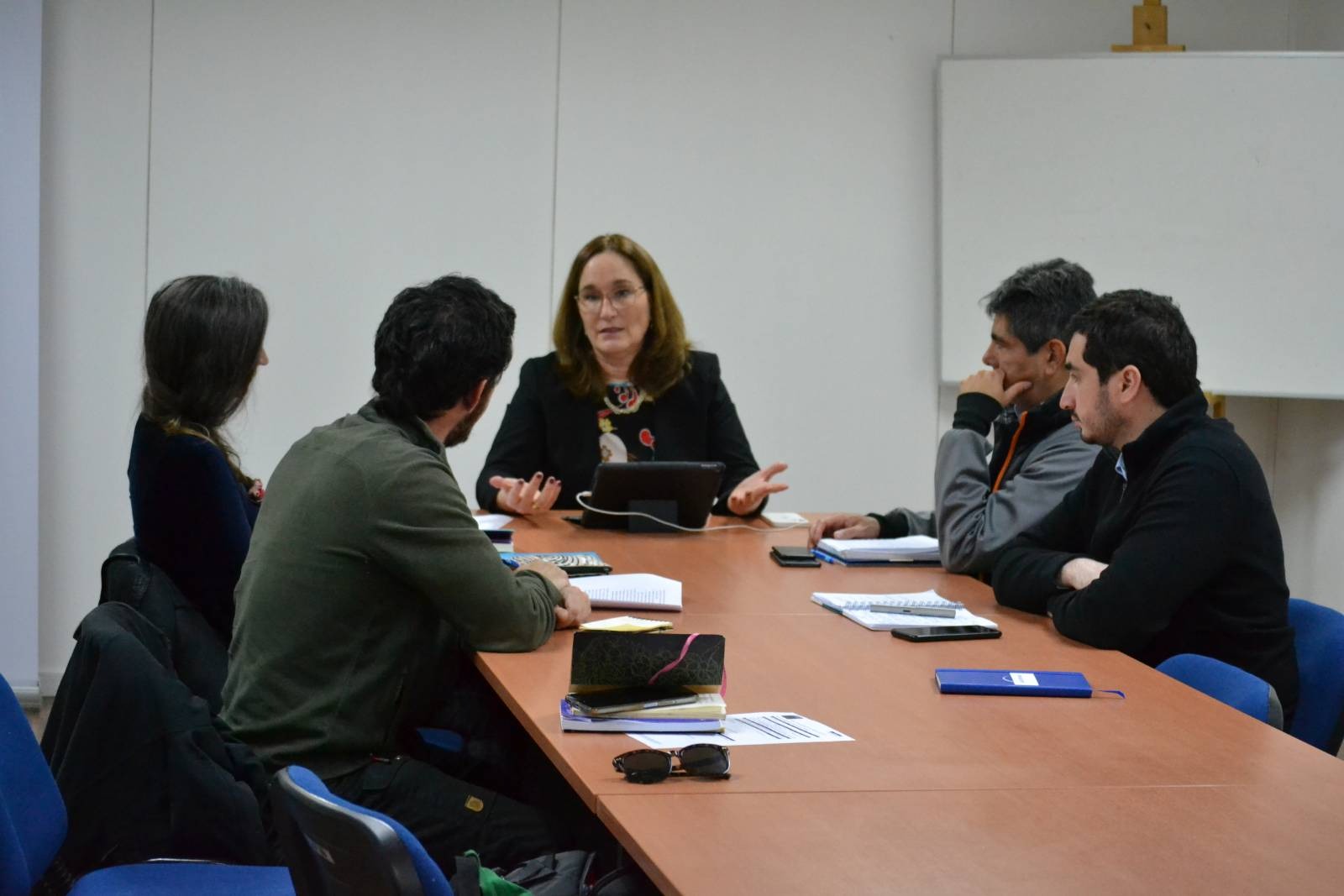 Panel Ciudadano H2 Magallanes manifestó preocupación a Directora Nacional del SEA por capacidades y recursos disponibles para evaluaciones