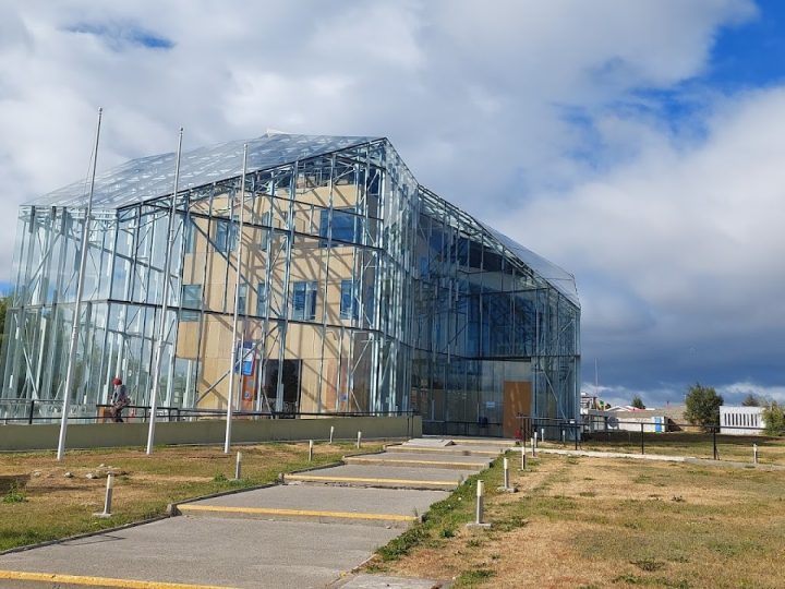 Renuncia la Seremi de Salud de Magallanes: Delegación Presidencial confirma subrogancia