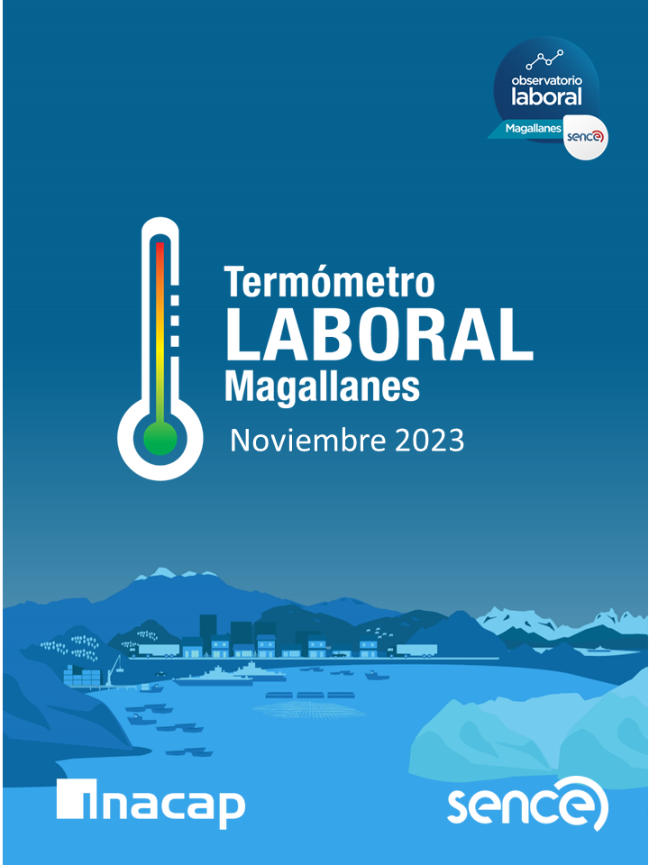 En 26% aumenta el número de profesionales, científicos e intelectuales durante trimestre julio-septiembre 2023 en Magallanes, según Termómetro Laboral del SENCE