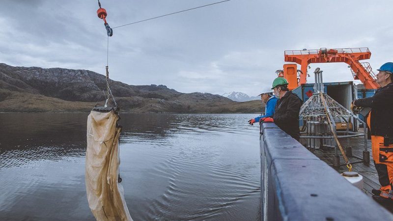 Estudio del Centro IDEAL aborda vínculo entre el derretimiento de glaciares y presencia de plomo en aguas costeras polares
