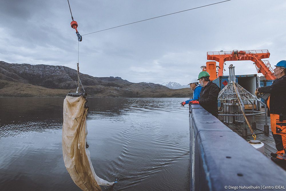 Estudio del Centro IDEAL aborda vínculo entre el derretimiento de glaciares y presencia de plomo en aguas costeras polares