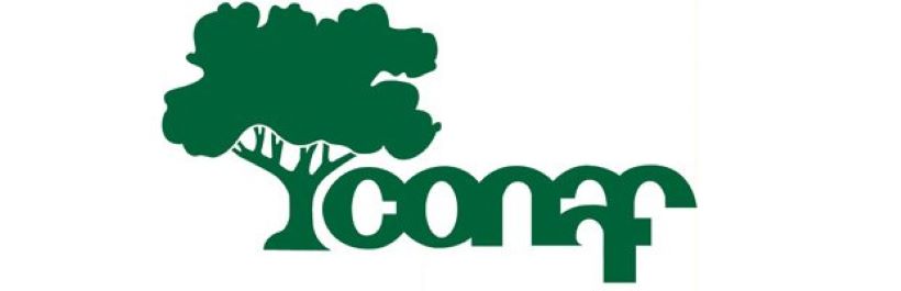 CONAF convoca a constituir su Consejo de la Sociedad Civil