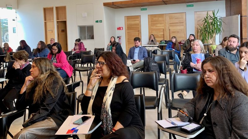 Gobierno Regional organizó conversatorio para difundir las buenas prácticas de inclusión en entornos laborales de Magallanes