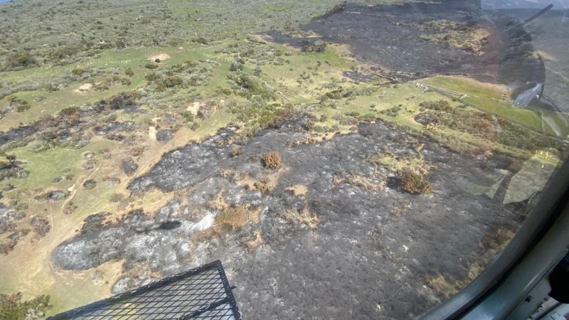 Incendio forestal fue controlado en Tierra del Fuego | Autoridades informan que se baja la Alerta Roja a Alerta Amarilla