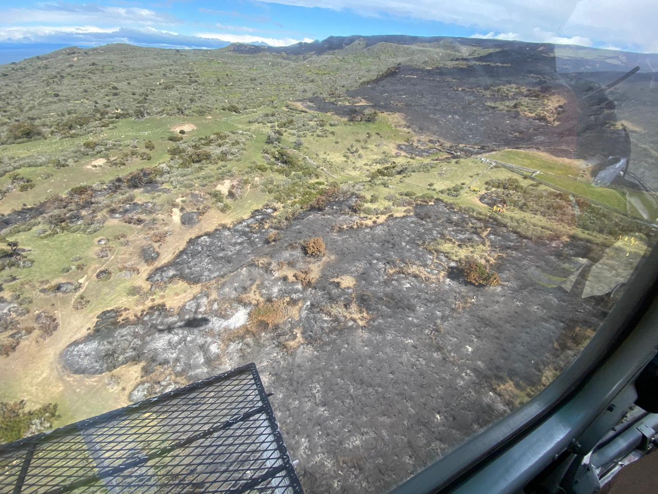 Incendio forestal fue controlado en Tierra del Fuego | Autoridades informan que se baja la Alerta Roja a Alerta Amarilla