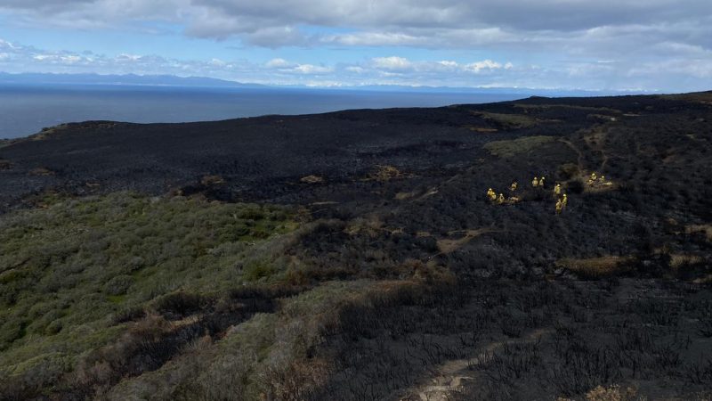 Incendio forestal en Tierra de Fuego se declara extinguido y se baja Alerta Amarilla