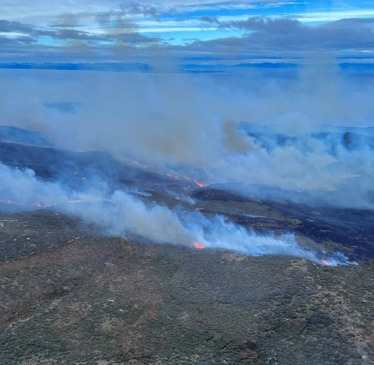 SENAPRED Magallanes modifica cobertura de Alerta Roja en Tierra del Fuego por incendio forestal