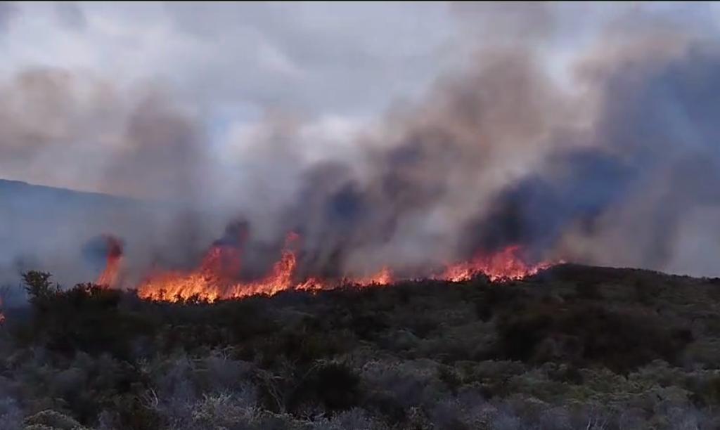 Incendio forestal en Tierra del Fuego abarca más de 500 hectáreas y concurren medios de CONAF desde el centro del país