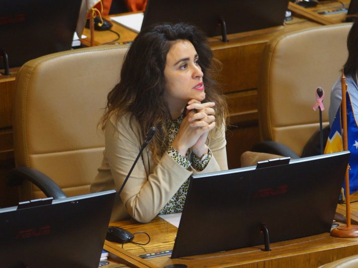 Diputada Morales condena ataque a mural de Francisco Bettancourt y anuncia avance de reforma que limita indultos por delitos de lesa humanidad