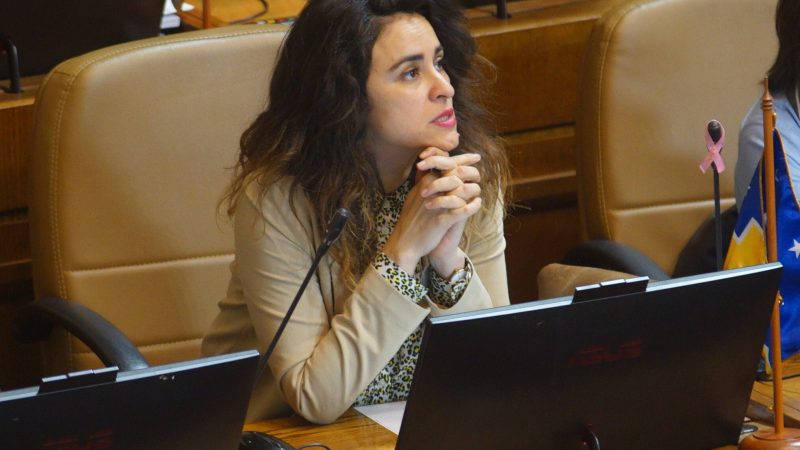 Diputada Javiera Morales | Posiciones encontradas entre parlamentarios de Magallanes por el traspaso a SLEP