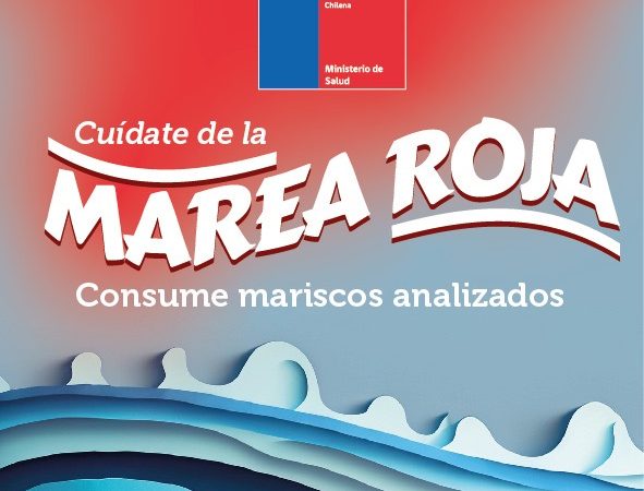 SEREMI de Salud de Magallanes informa sobre medidas de autocuidado contra la Marea Roja
