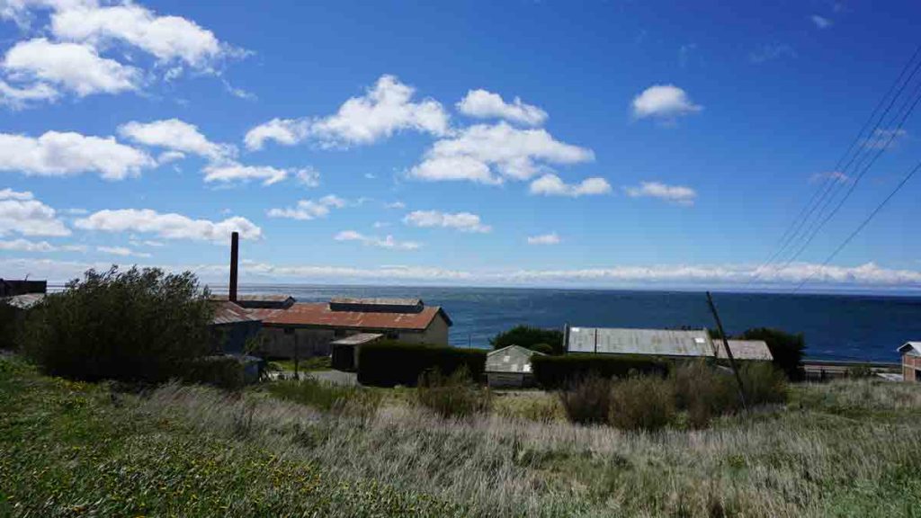 «Víctor Jara: El mundo gira y crea porque existe el amor» | Cierre de exposición en el Museo de Historia Natural de Río Seco