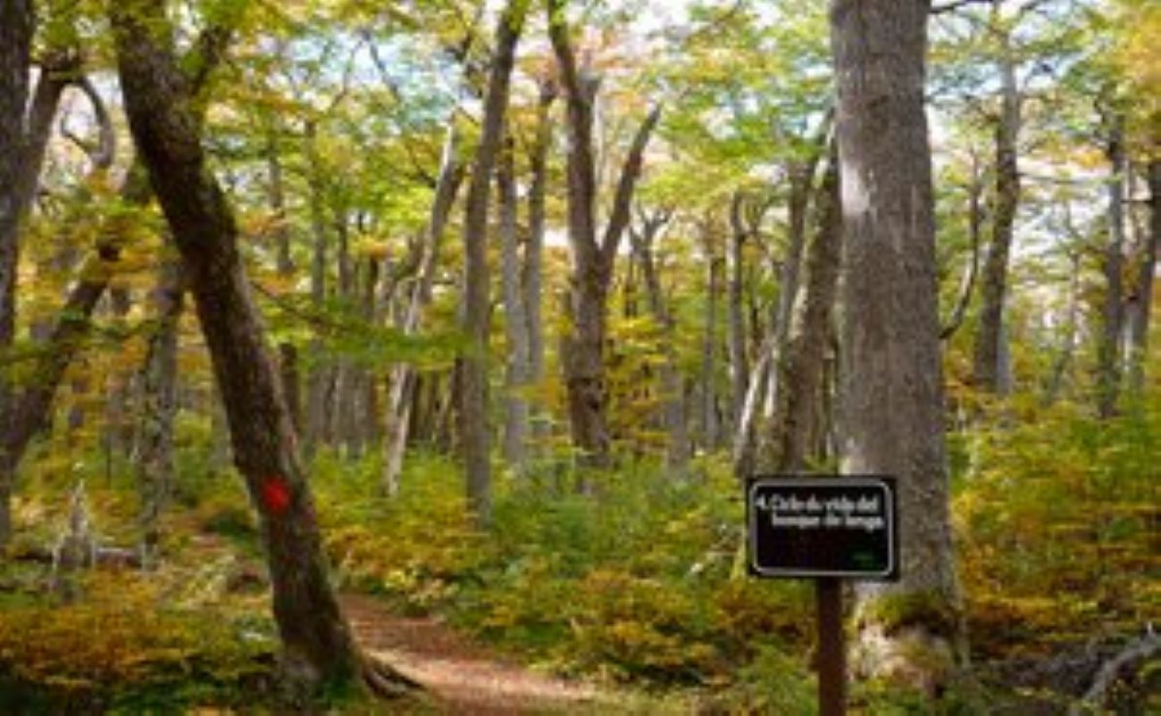 Con visitas a reservas y parques nacionales, la Región de Magallanes celebra el Primer Día Nacional de las Áreas Protegidas de Chile