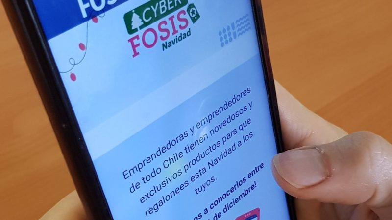 Vitrina digital del FOSIS ofrece productos de más de 200 emprendedores a nivel nacional