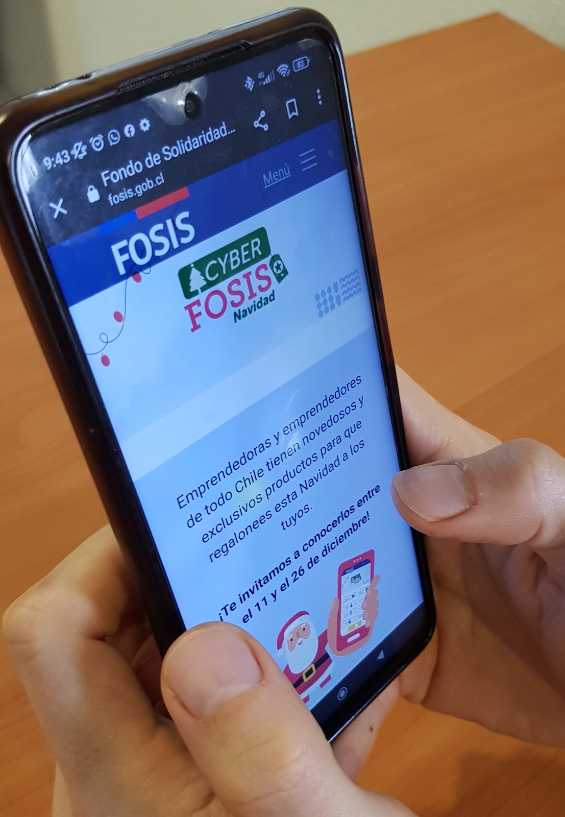 Vitrina digital del FOSIS ofrece productos de más de 200 emprendedores a nivel nacional