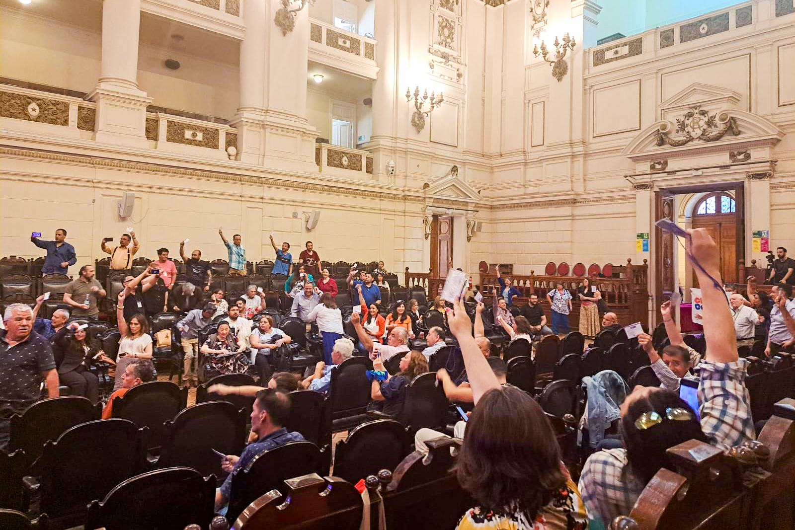 Radicales en Magallanes se suman a postura nacional de rechazo a propuesta constitucional