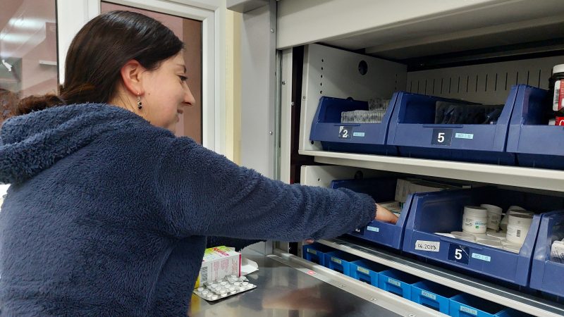 Estrategias implementadas en farmacia ambulatoria del Hospital Clínico Magallanes para optimizar la entrega de medicamentos