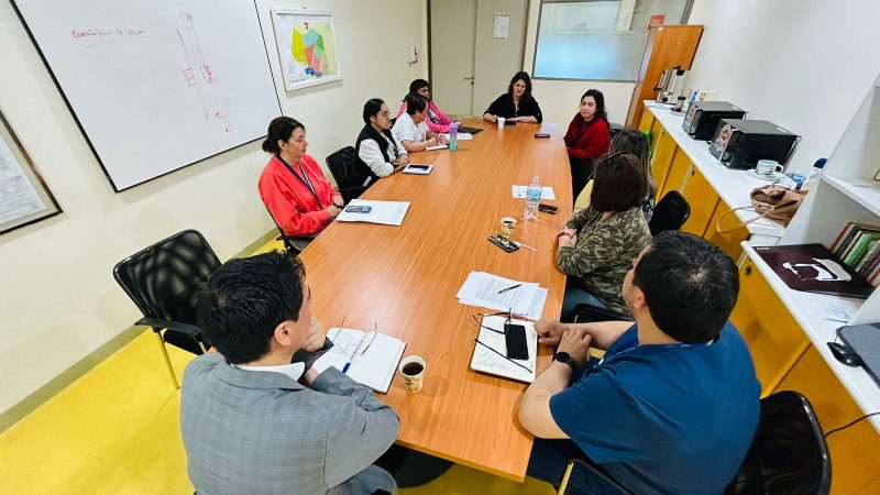 SEREMI de Salud de Magallanes se reúne con Consejo Consultivo ciudadano del Hospital de Puerto Natales