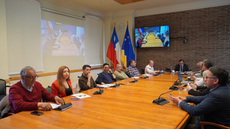 Infraestructura pública: CORE Magallanes aprobó financiamiento del proyecto de luminarias LED para Puerto Natales