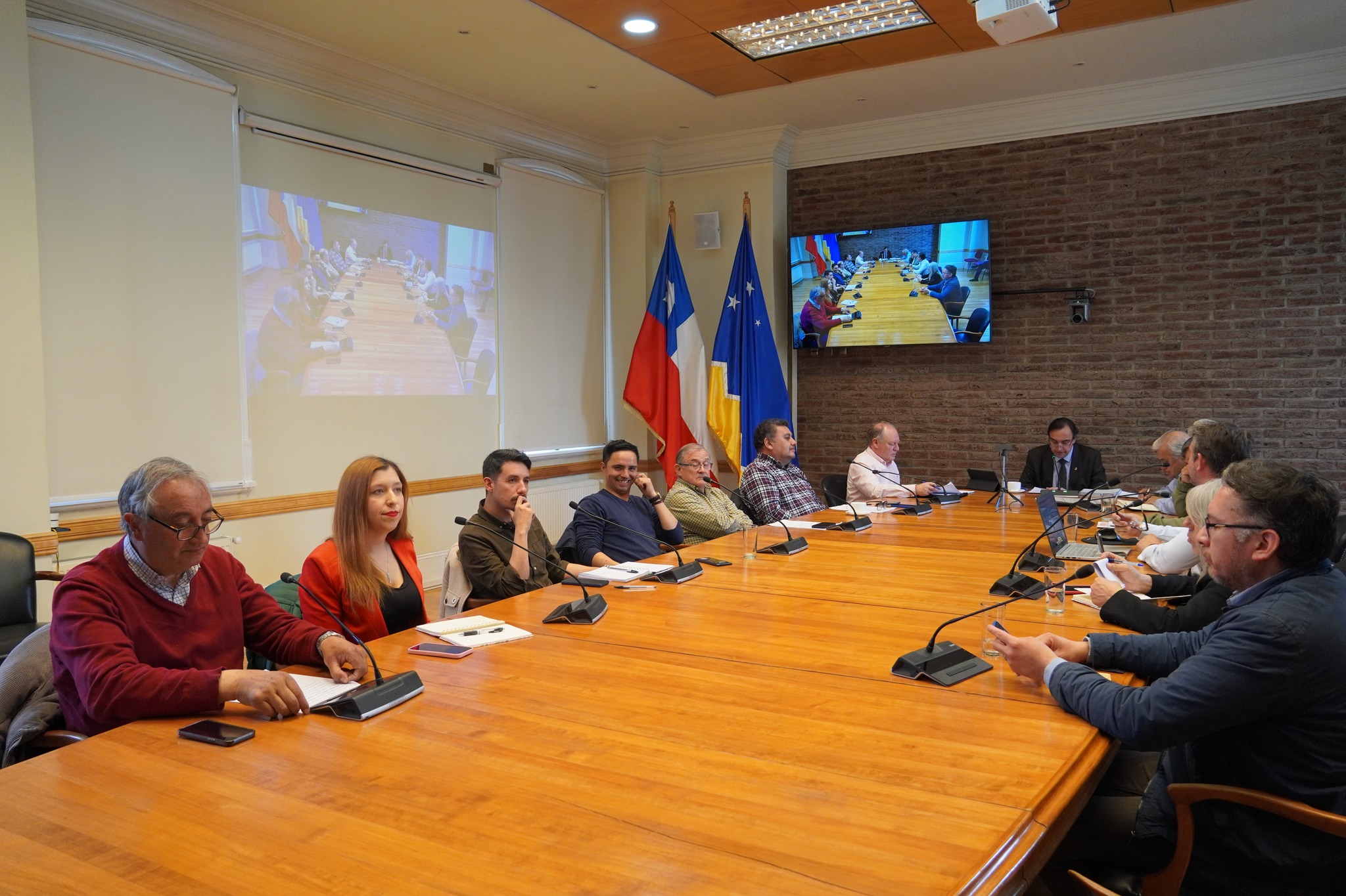 Infraestructura pública: CORE Magallanes aprobó financiamiento del proyecto de luminarias LED para Puerto Natales