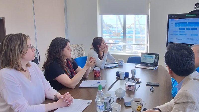 Mesas Regional de Salud de Magallanes se reunió en Punta Arenas