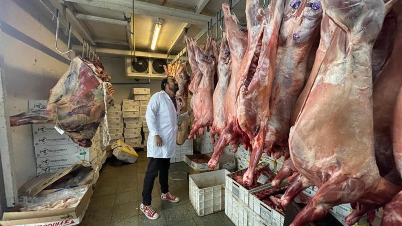 Equipos de la Seremi de Salud Magallanes se han desplegado para reforzar la fiscalización de carnicerías