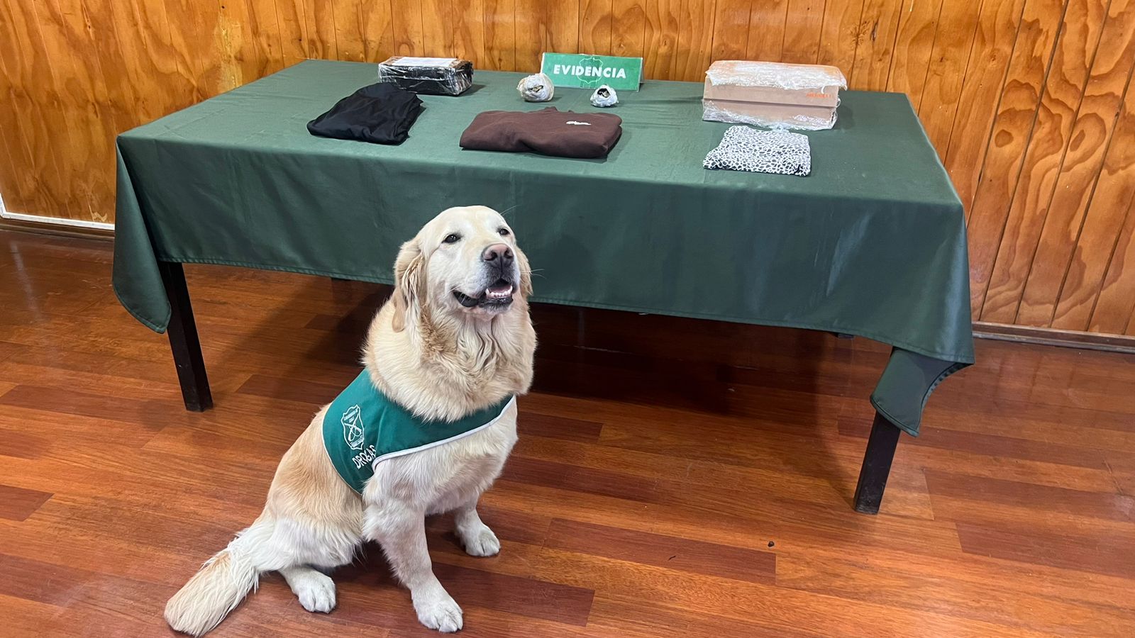 Dos detenidos en Puerto Natales tras recibir droga en encomienda enviada desde Punta Arenas